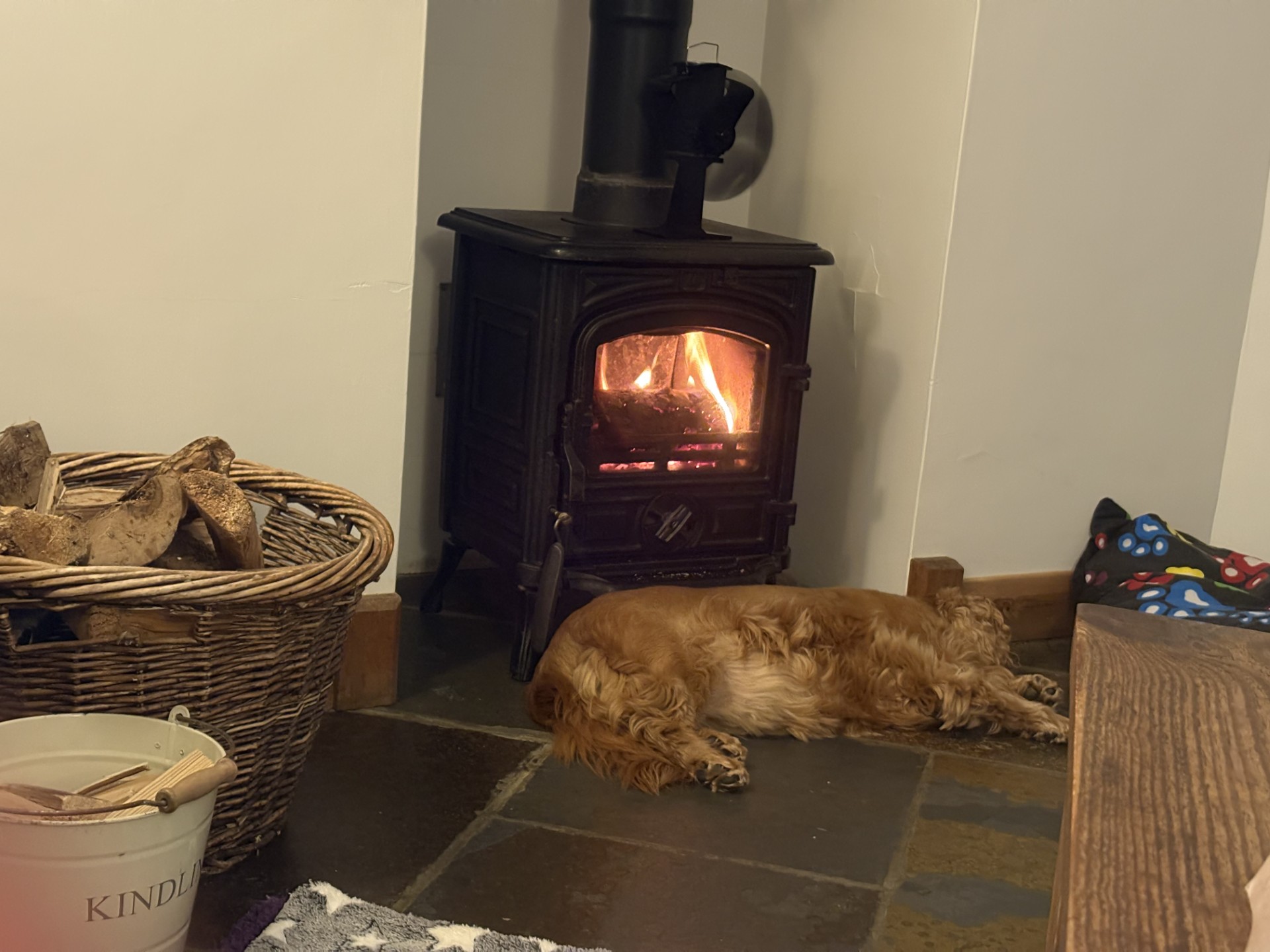 Last Minute Break and Website Updates